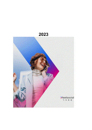 2023中国品牌出海年度报告-飞书深诺.docx