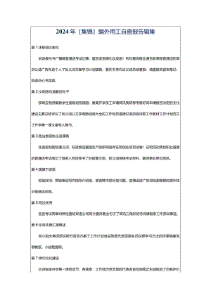 2024年[集锦]编外用工自查报告辑集.docx