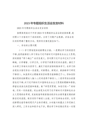 2023年专题组织生活会发言材料&县委书记在县委农村工作会议上的讲话.docx