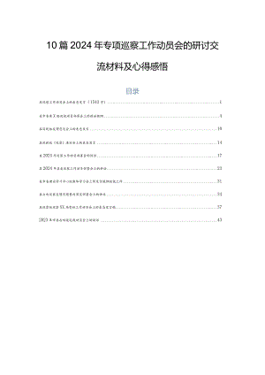10篇2024年专项巡察工作动员会的研讨交流材料及心得感悟.docx