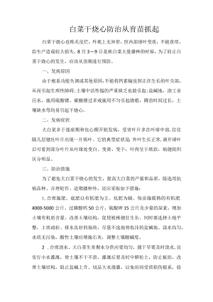 白菜干烧心防治从育苗抓起.docx