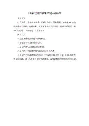 白菜烂根病的识别与防治.docx