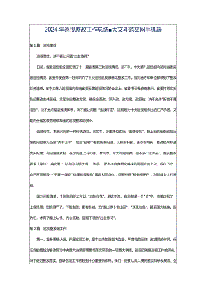 2024年巡视整改工作总结-大文斗范文网手机端.docx