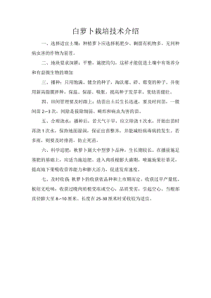 白萝卜栽培技术介绍.docx