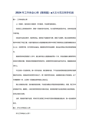 2024年工作体会心得（集锦篇）-大文斗范文网手机端.docx