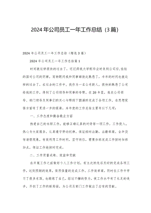 2024年公司员工一年工作总结（3篇）.docx