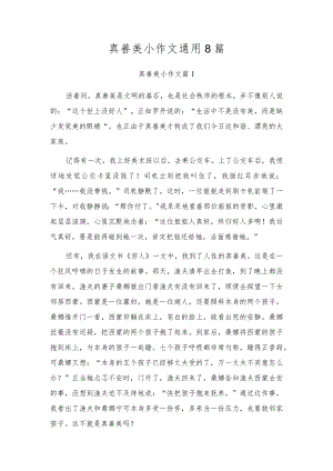 真善美小作文通用8篇.docx