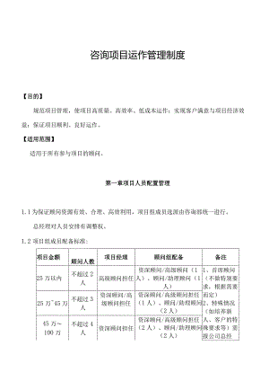 咨询项目运作管理制度.docx