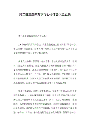 第二批主题教育学习心得体会大全五篇.docx