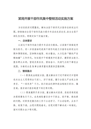 2024某局开展干部作风集中整顿活动实施方案.docx