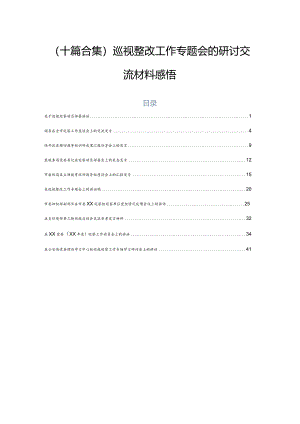 （十篇合集）巡视整改工作专题会的研讨交流材料感悟.docx