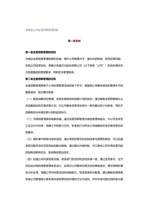 某集团公司全面预算管理制度.docx
