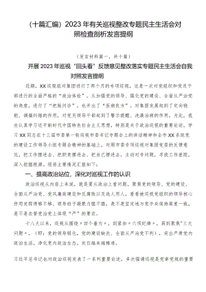（十篇汇编）2023年有关巡视整改专题民主生活会对照检查剖析发言提纲.docx