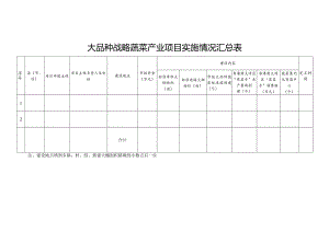 大品种战略蔬菜产业项目实施情况汇总表.docx