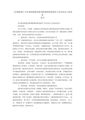 [乡镇街道]在市委巡察组巡察XX镇村级党组织工作动员会上的表态发言.docx