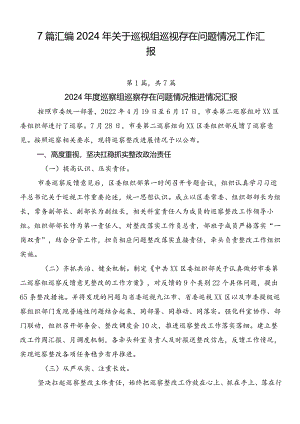 7篇汇编2024年关于巡视组巡视存在问题情况工作汇报.docx