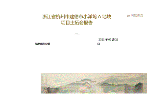 改-拍-浙江省杭州市建德市小洋坞A地块世茂集团土拓会报告0222城市进入、产品定位.docx