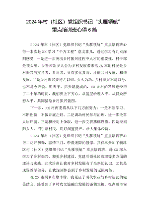 2024年村（社区）党组织书记“头雁领航”重点培训班心得6篇.docx