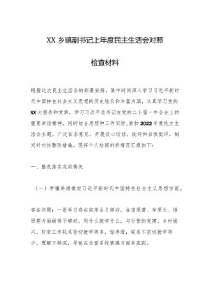 XX乡镇副书记上年度民主生活会对照检查材料【】.docx