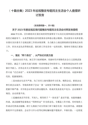 （十篇合集）2023年巡视整改专题民主生活会个人查摆研讨发言.docx