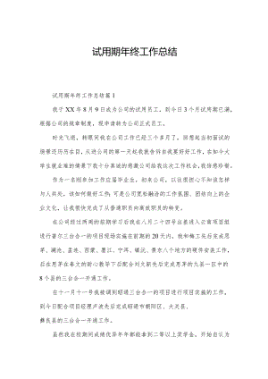 试用期年终工作总结.docx
