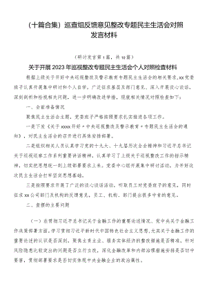（十篇合集）巡查组反馈意见整改专题民主生活会对照发言材料.docx