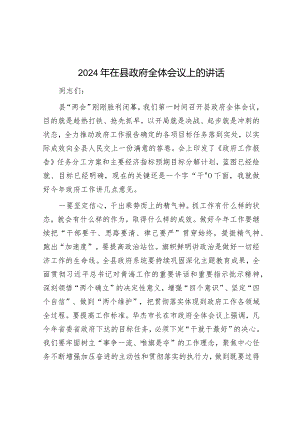 2024年在县政府全体会议上的讲话&专题党课：锚定双碳目标着力提升“三个能力”坚决扛起能源高质量发展重任.docx