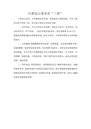 白菜包心变实有“三招”.docx