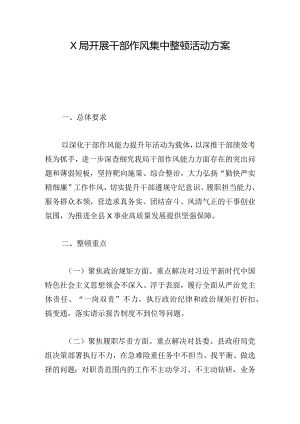 X局开展干部作风集中整顿活动方案.docx