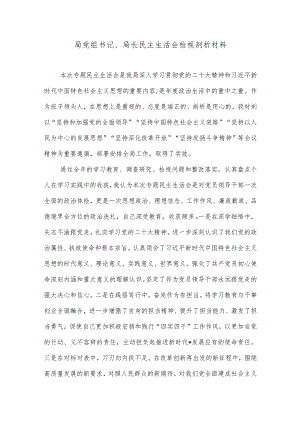 局党组书记、局长民主生活会检视剖析材料【】.docx