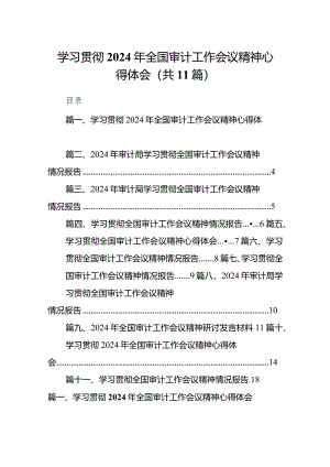 （11篇）学习贯彻2024年全国审计工作会议精神心得体会最新.docx