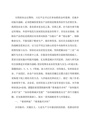 全面推动乡村振兴确保粮食安全调研报告.docx