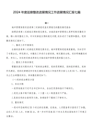 2024年度巡察整改进展情况工作进展情况汇报七篇.docx