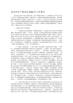 县安全生产委员会2024年工作要点.docx