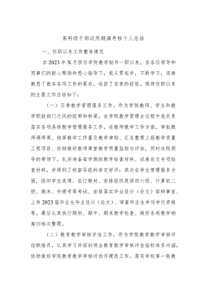 某科级干部试用期满考核个人总结.docx
