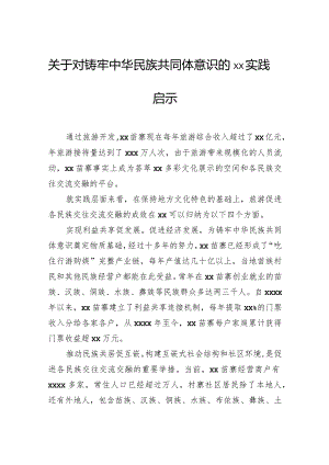 关于对铸牢中华民族共同体意识的xx实践启示.docx