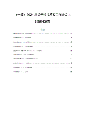 （十篇）2024年关于巡视整改工作会议上的研讨发言.docx