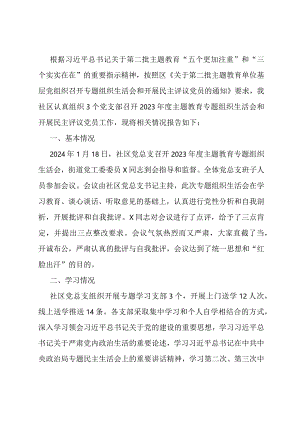 社区党总支召开主题教育专题组织生活会和开展民主评议党员工作总结.docx