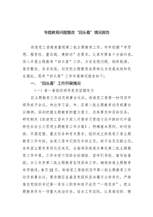 专题教育问题整改“回头看”情况报告【五篇精选】供参考.docx