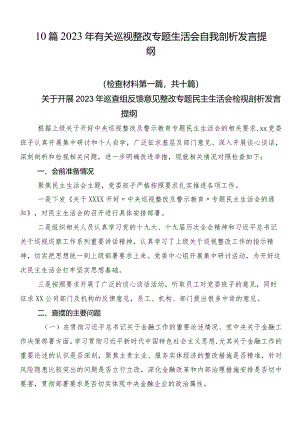 10篇2023年有关巡视整改专题生活会自我剖析发言提纲.docx