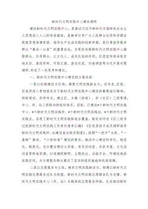 新时代文明实践中心建设调研.docx