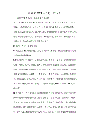 2024年3月企划部工作计划.docx