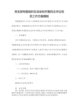党支部专题组织生活会和开展民主评议党员工作方案模板.docx