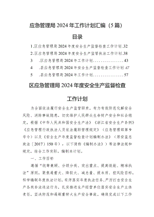 应急管理局2024年工作计划汇编（5篇）.docx