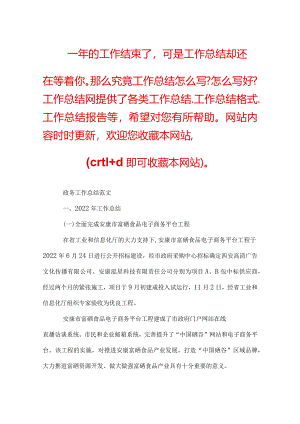政务工作总结范文.docx