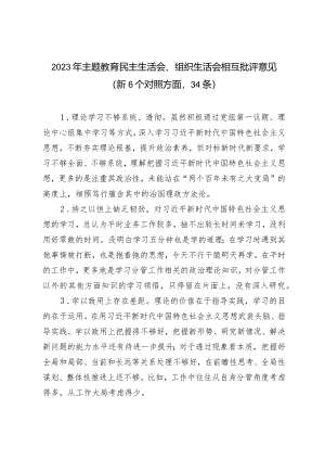 （2篇）2023年主题教育民主生活会、组织生活会相互批评意见（新6个对照方面34条）区局2024年度党建工作要点.docx
