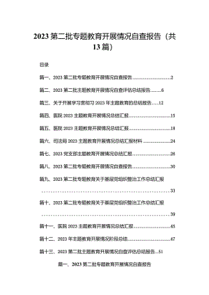 第二批专题教育开展情况自查报告范文精选(13篇).docx