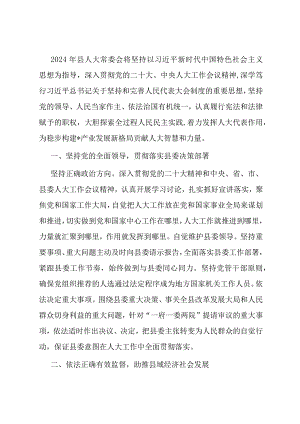 县人大常委会2024年工作要点.docx