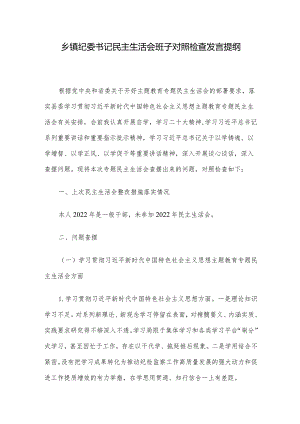 乡镇纪委书记民主生活会班子对照检查发言提纲.docx