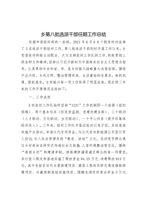 乡第八批选派干部任期工作总结.docx